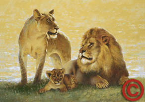 Familia de leones, felinos descansando.