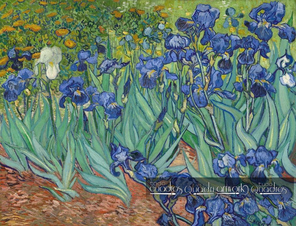 Irises, Van Gogh