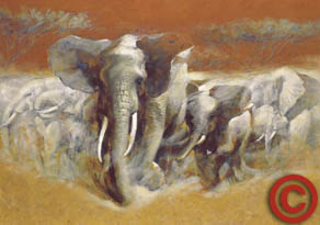 Reproducción pictórica de manada de paquidermos africanos. 
