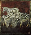 Poster de grupo de zebras.